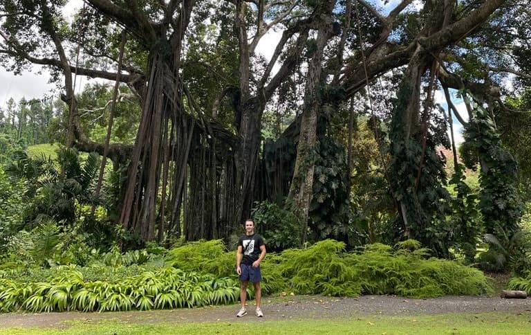 La forêt tropicale tahitienne