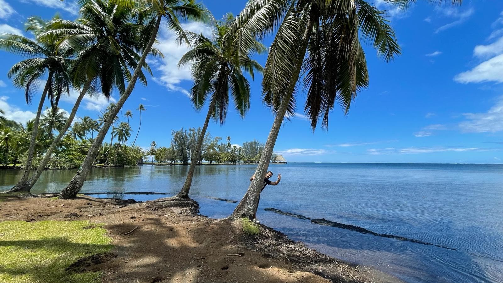 Les jardins d'Harrison Smith à Tahiti